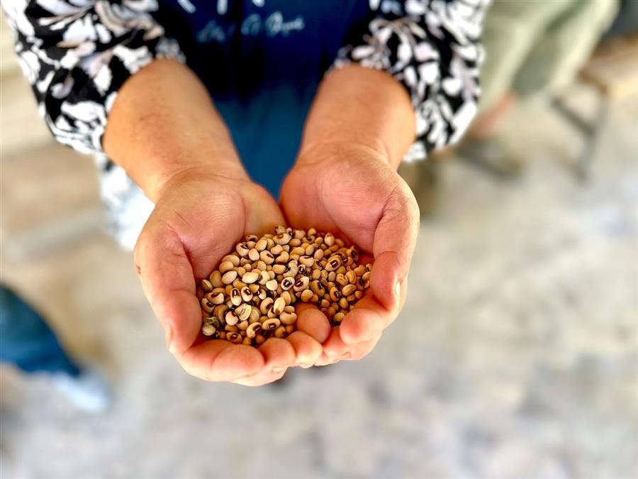Urla Belediyesi’nden Çiftçilere Destek