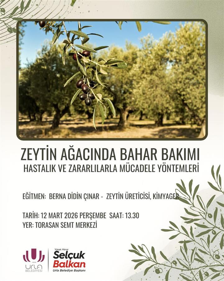 Zeytincilik eğitimi