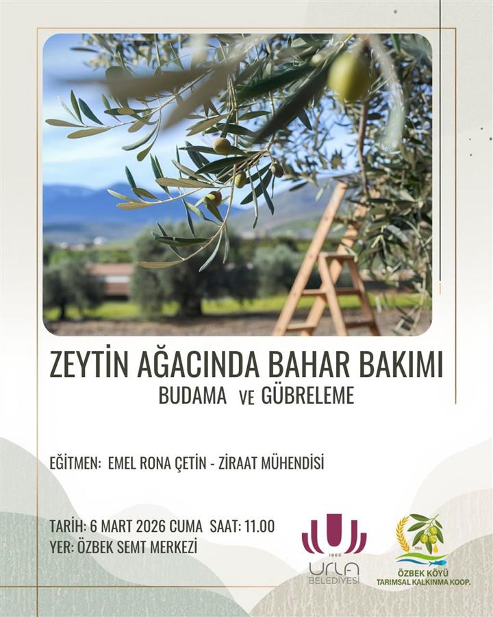 Zeytin üreticilerimize yönelik bilgilendirici eğitimlerimiz devam ediyor