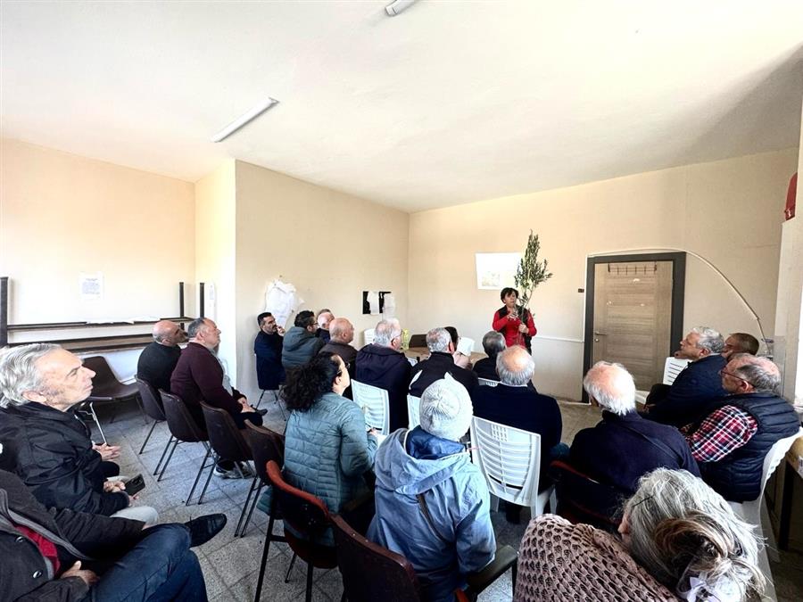 ÖZBEK KÖYÜMÜZDE ZEYTİNCİLİK EĞİTİMİ