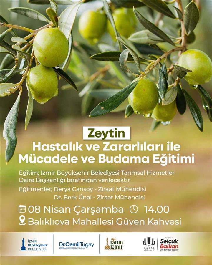 Zeytin Hastalık ve Zararlıları ile Mücadele ve Budama Eğitimi